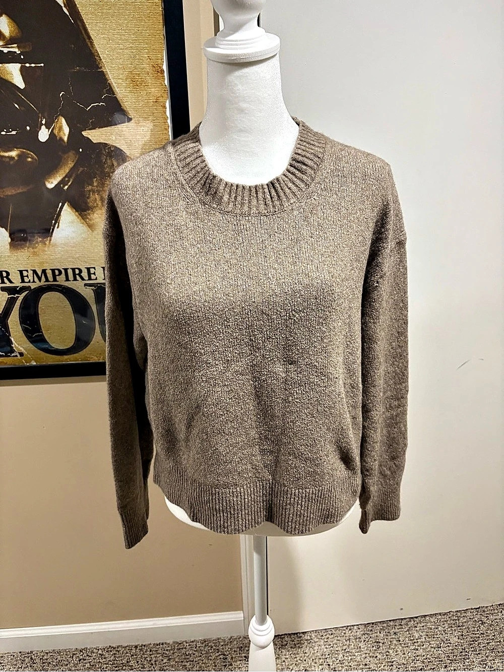 Everlane The Cocoon Crew in Alpaca